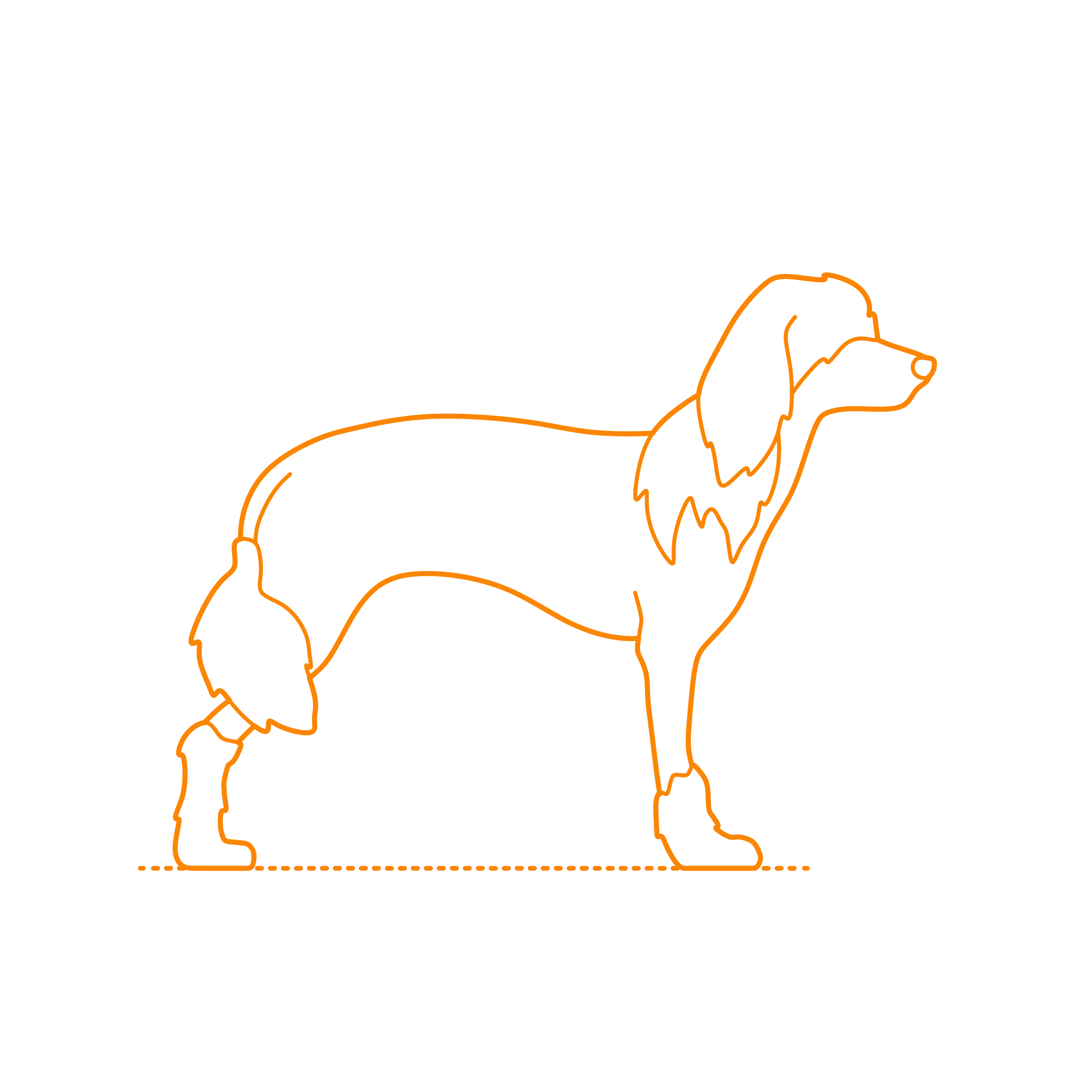 Animals Dogs Chinese Crested Outline Icon Svg Set Free Vectors